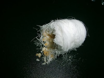 Korean Dragon’s Beard Candy